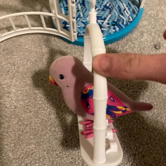 Little Live Pets Secret Songbird and cage - Picture 6 of 6